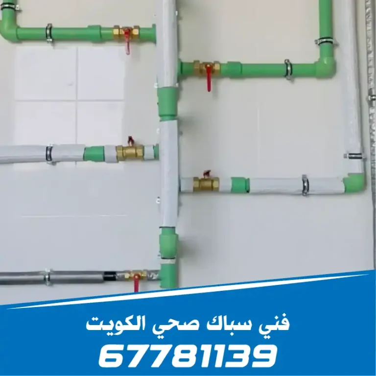 فحص تصليح الخرير